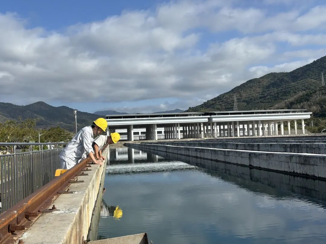 實(shí)干開新局  三亞環(huán)農(nóng)集團(tuán)吹響全面復(fù)工復(fù)產(chǎn)“集結(jié)號(hào)”