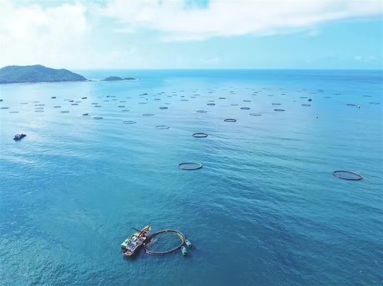 再攀新高！三亞農投海洋產(chǎn)業(yè)有限公司成功入選海南省專(zhuān)精特新企業(yè)